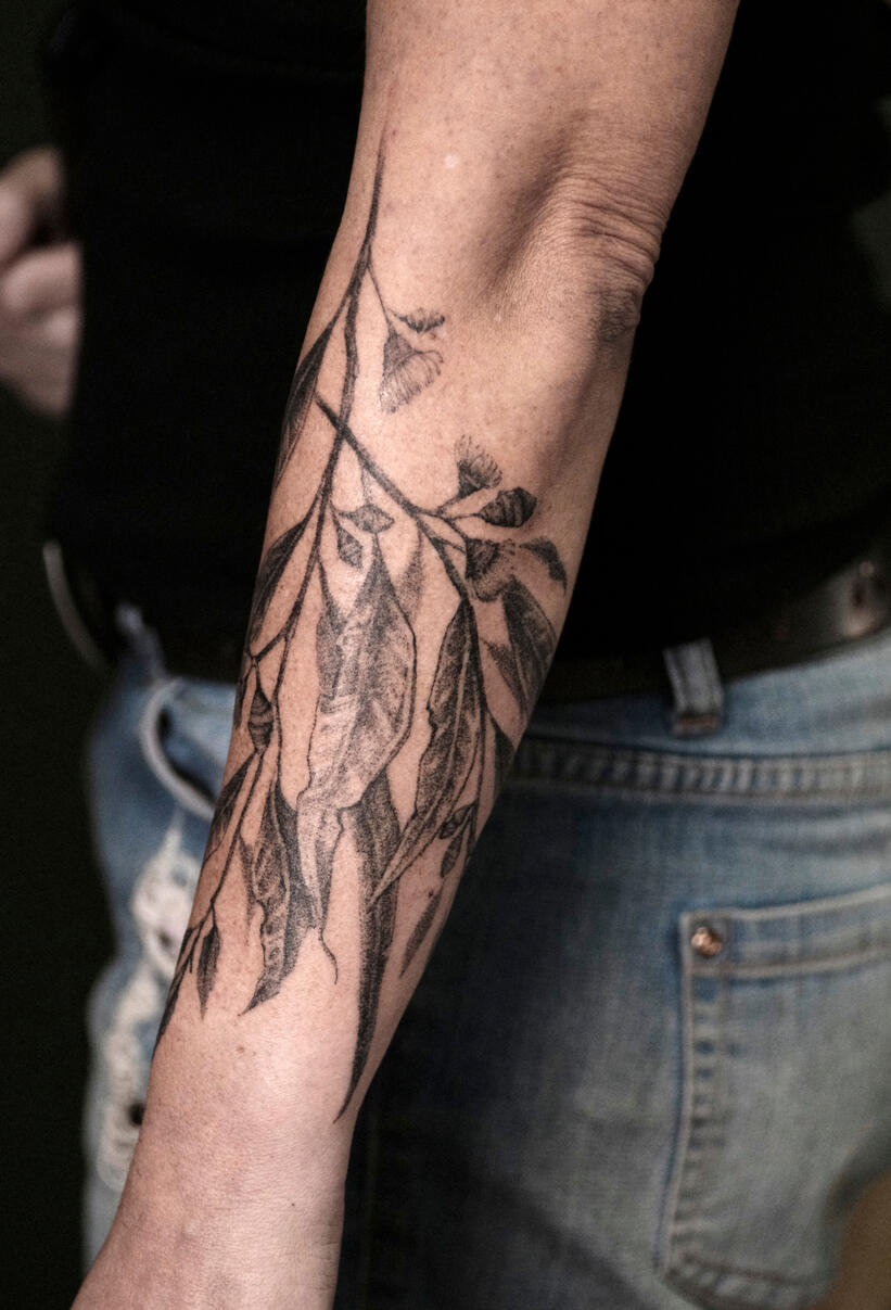 Untitled