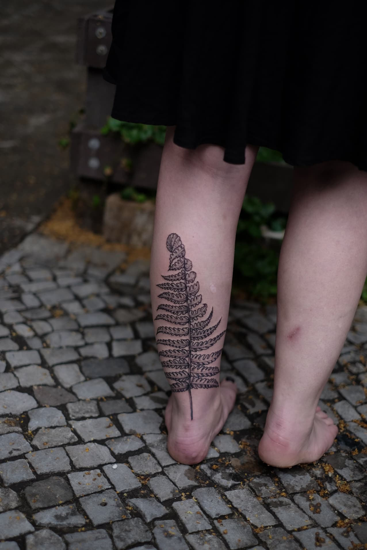 Tattoo by Jak Rapmund - calf fern